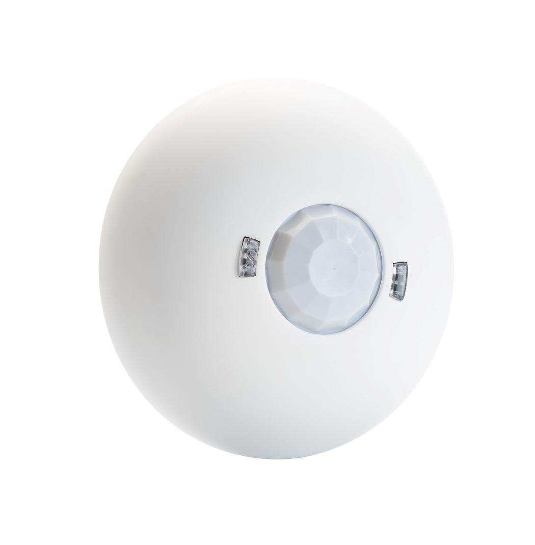 1619427287407510.jpg 2.jpg