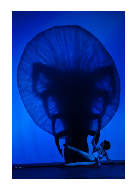 ShadowlandPilobolus_11.png